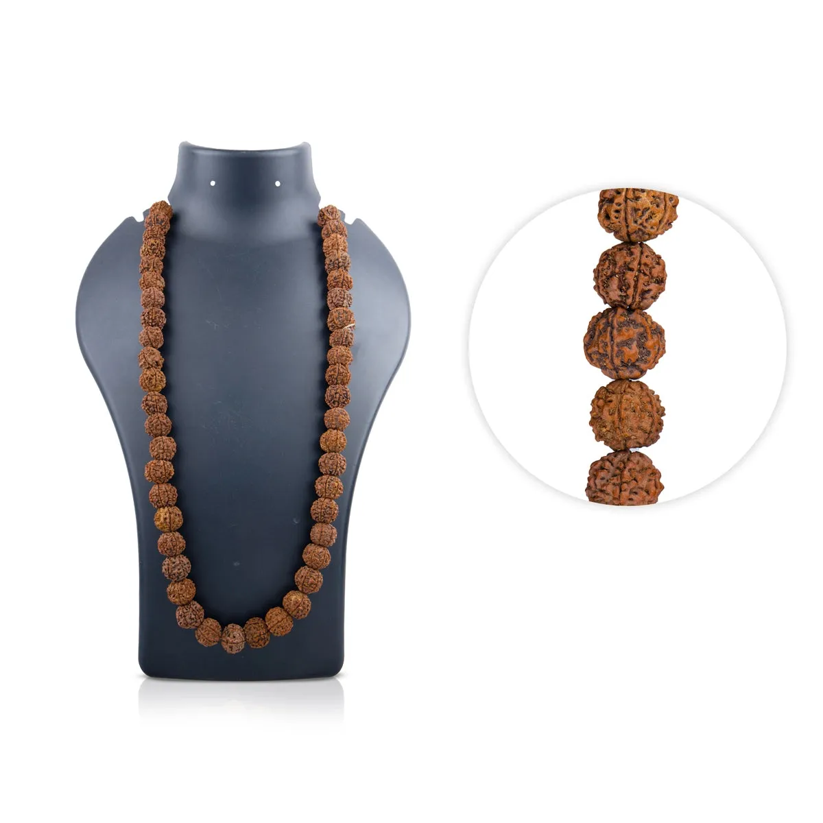 6 Mukhi Rudraksha Mala - 31 Inches | 108 Beads Six Mukhi Rudraksha Mala/ 6 Face Rudraksha Mala for Men & Women