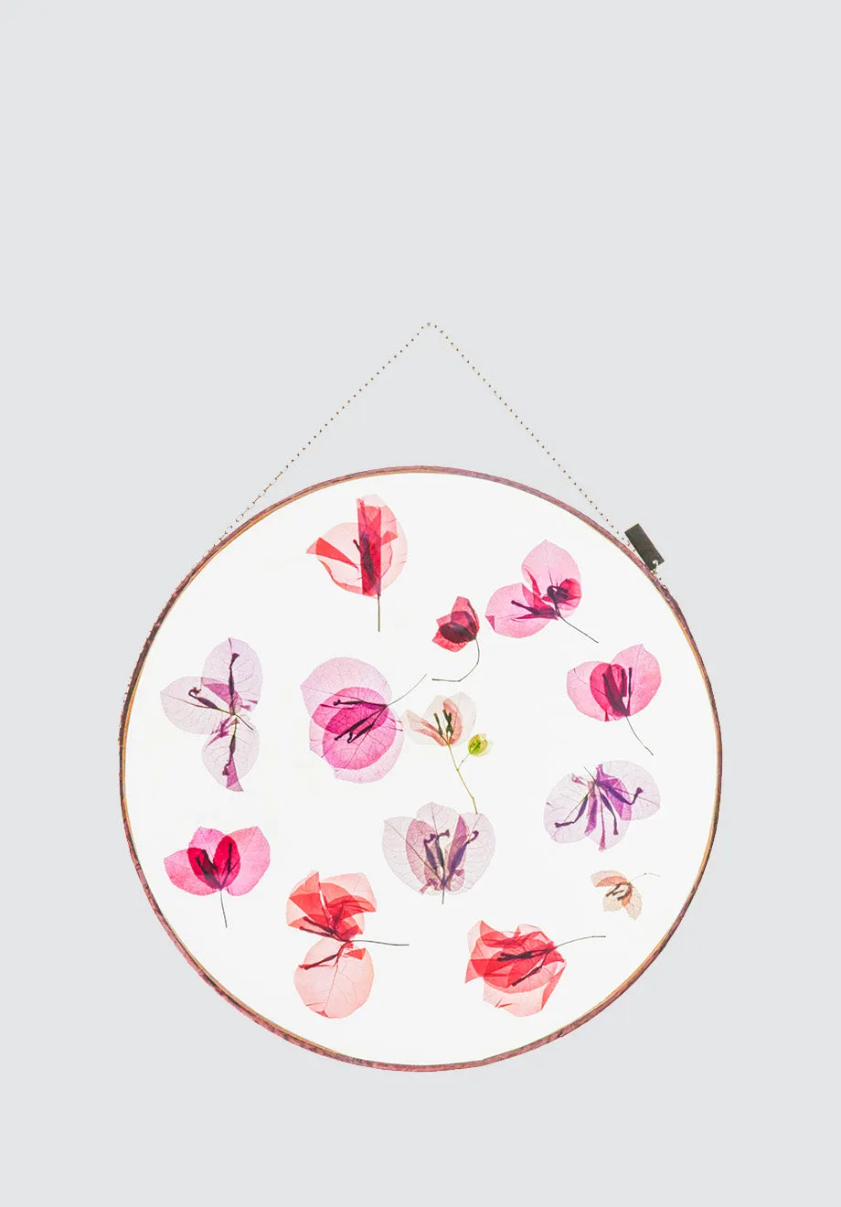 Bougainvillea Botanical Art | Round XL