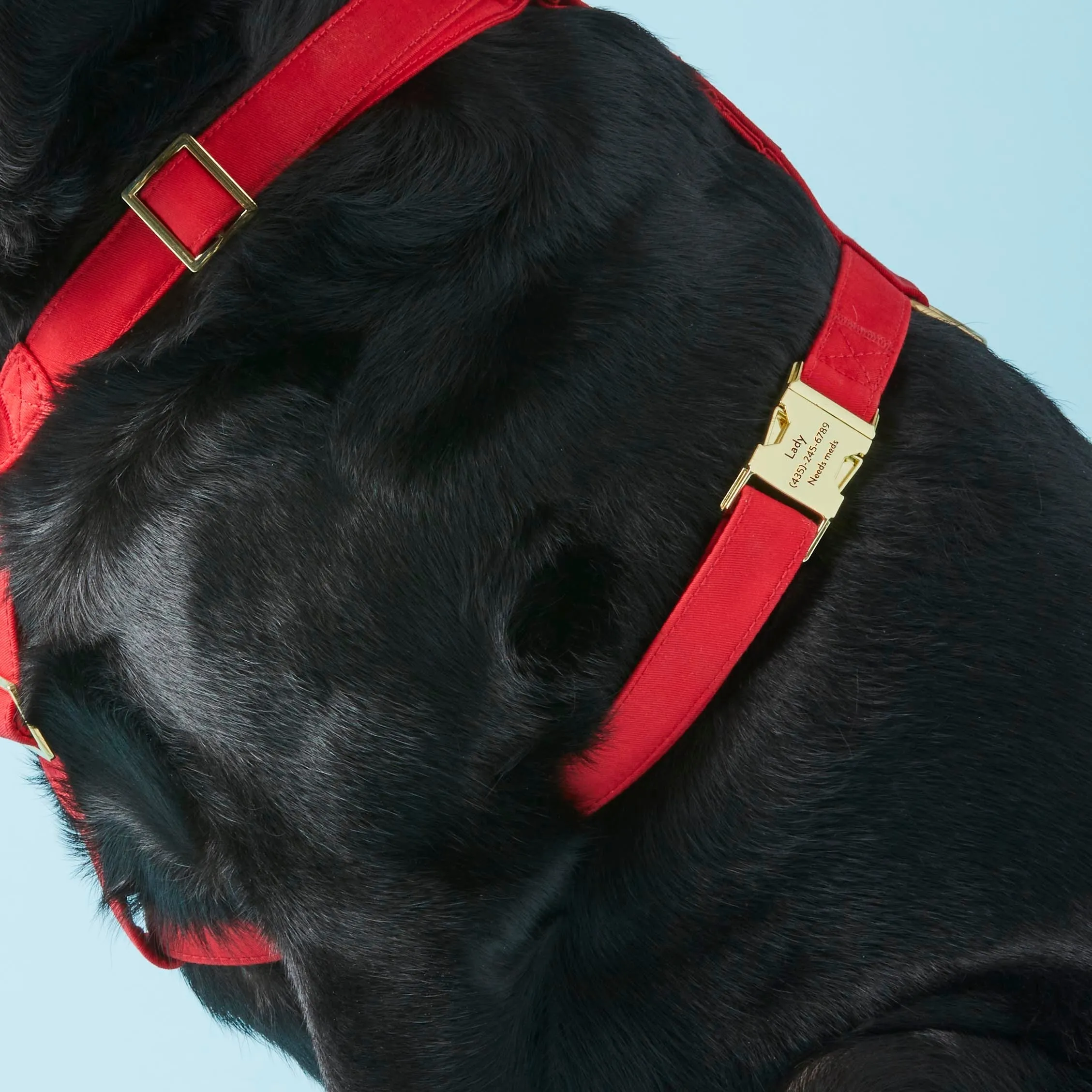 Ruby Dog Harness