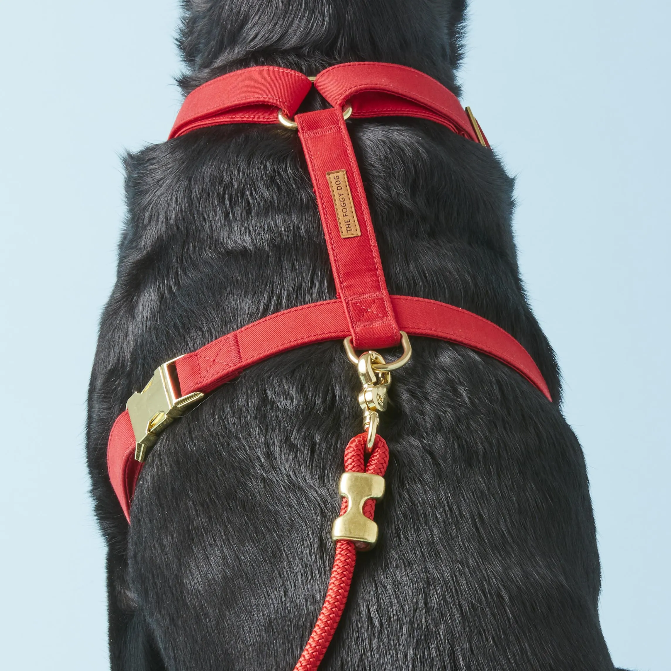 Ruby Dog Harness