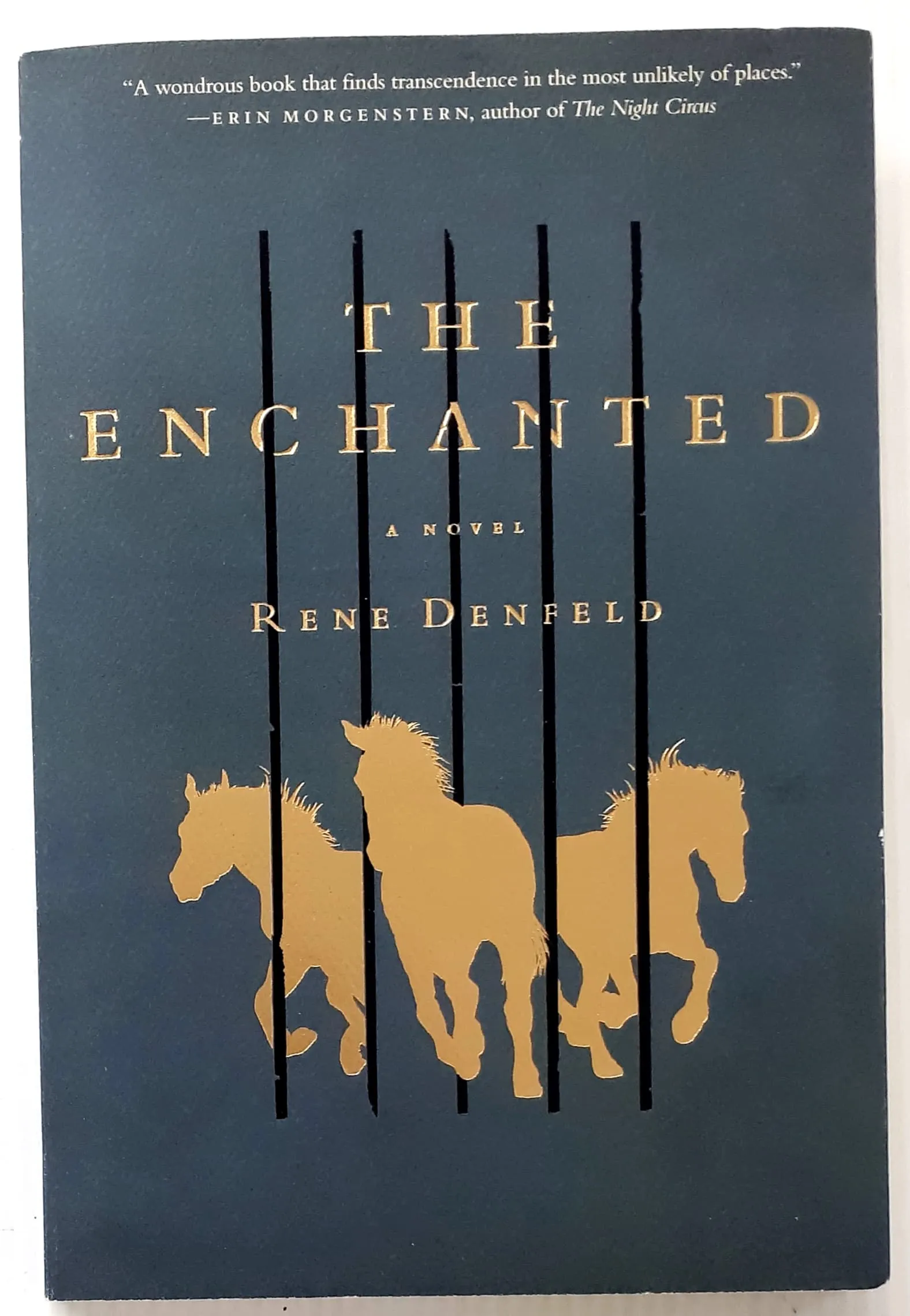 THE ENCHANTED - Rene Denfeld